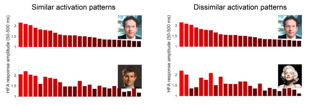 Pairs of face images that elicited similar (left column) and different (right column) neuronal activation patterns. Each bar shows the response of one electrode to the face in the photo; the higher the bar and the lighter the red, the stronger the response