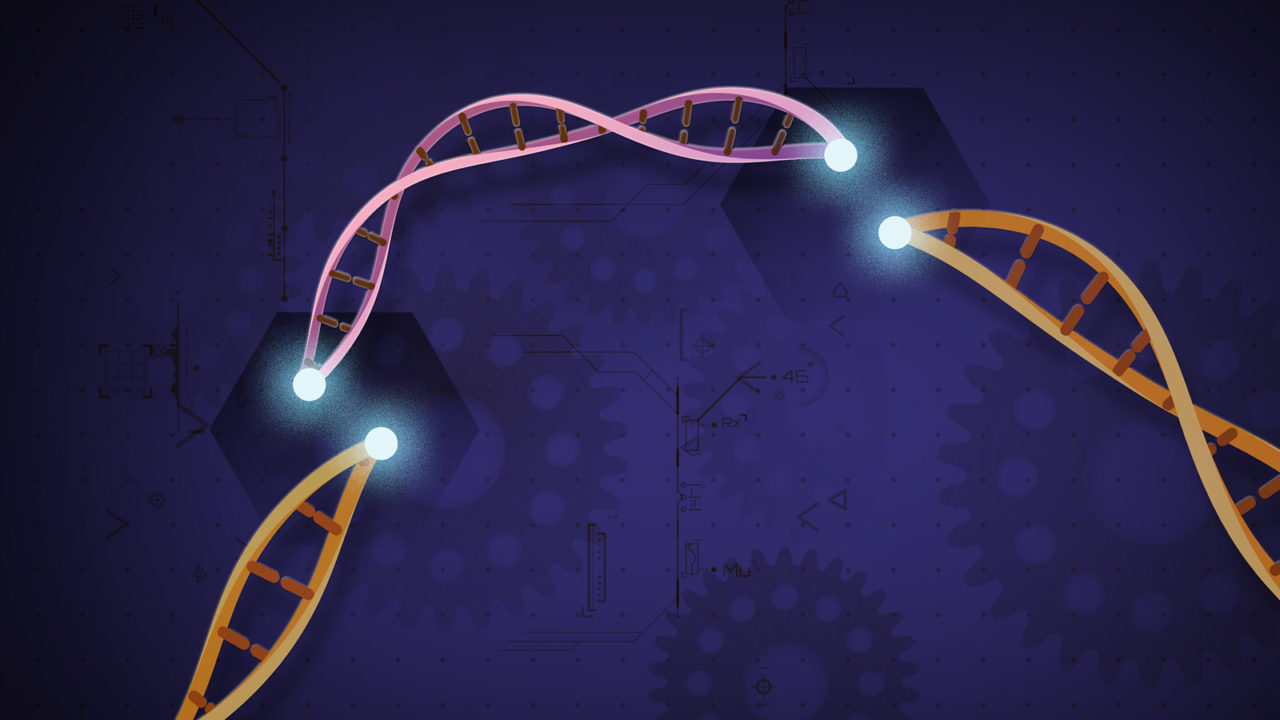 Scientists Achieve High Precision in Gene Editing