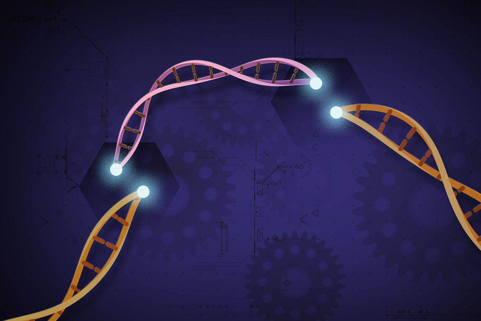 Scientists Achieve High Precision in Gene Editing