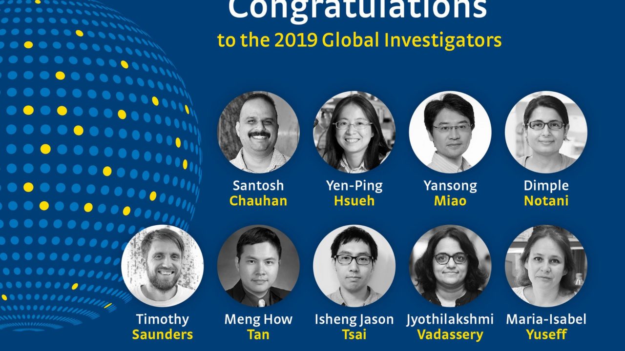 EMBO Global Investigator Network Winners for 2019