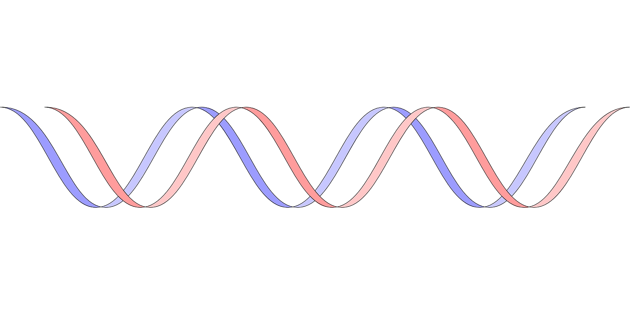 Novel susceptibility gene for non-familial hypokalemic periodic paralysis