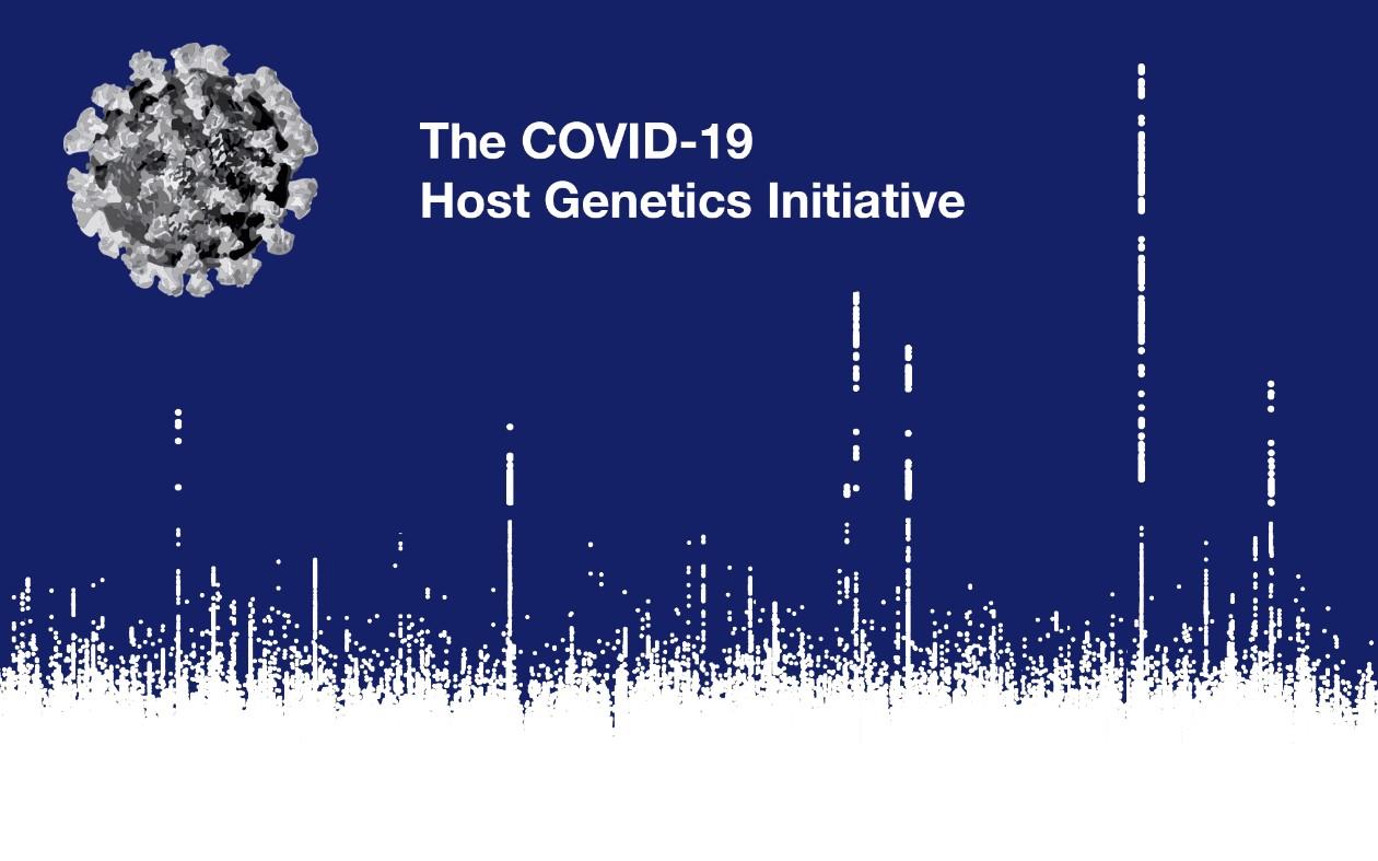 The COVID-19 host genetics initiative