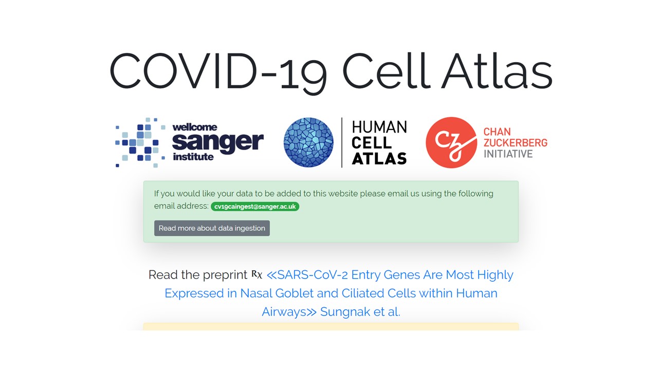 COVID-19 Cell Atlas