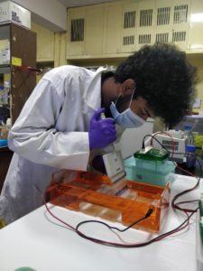 Researchers Develop Low-Cost Novel Coronavirus Test