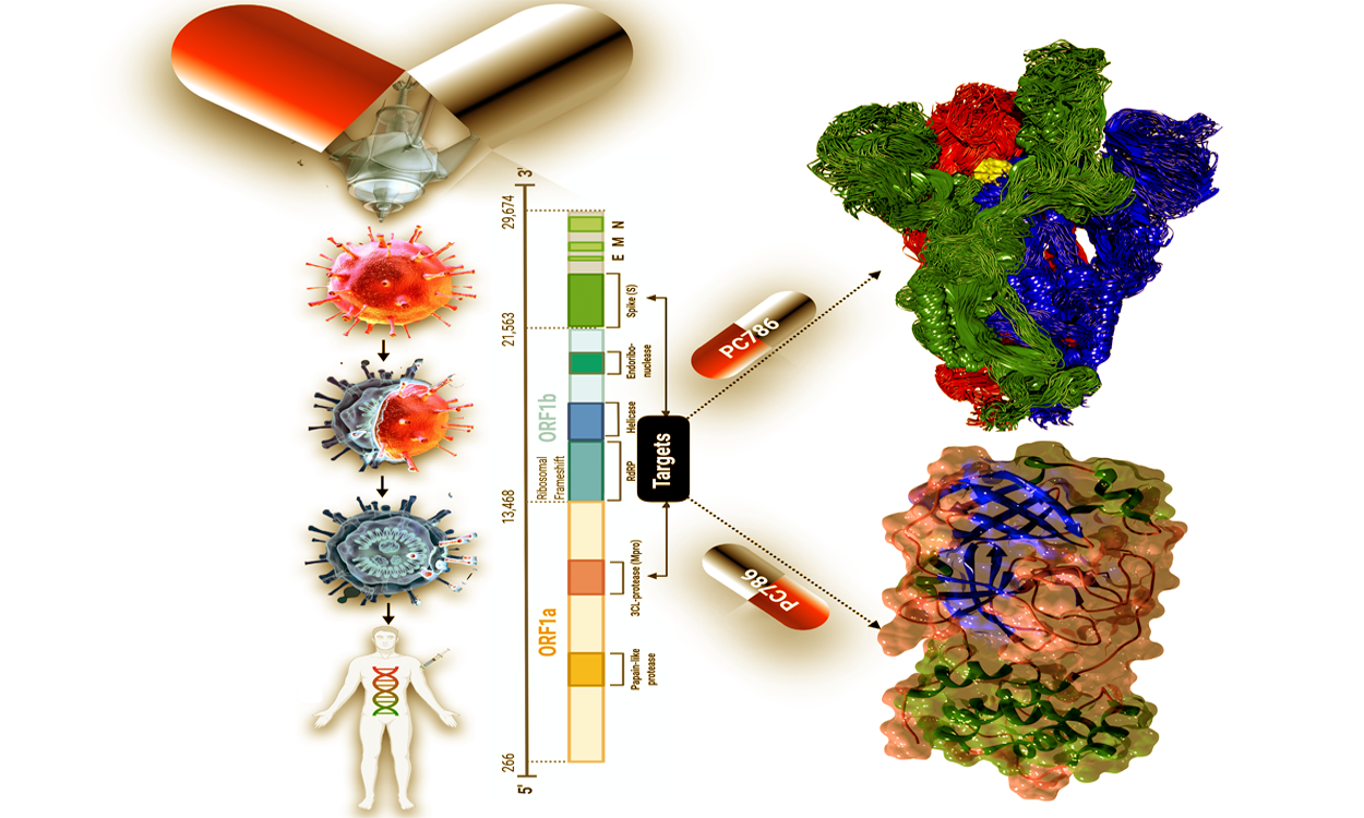 E-Science Predicts Potential Anti-Coronaviral Drugs and Vaccine Candidates