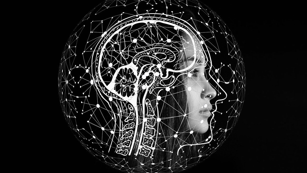 Researchers Develop ‘Hyperelastic Model’ To Understand Brain Injuries