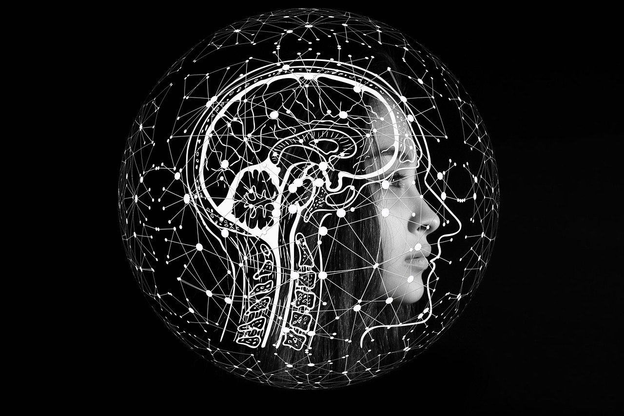Researchers Develop ‘Hyperelastic Model’ To Understand Brain Injuries