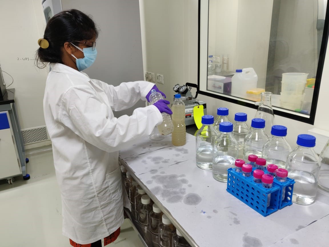 Testing of sewage samples in lab