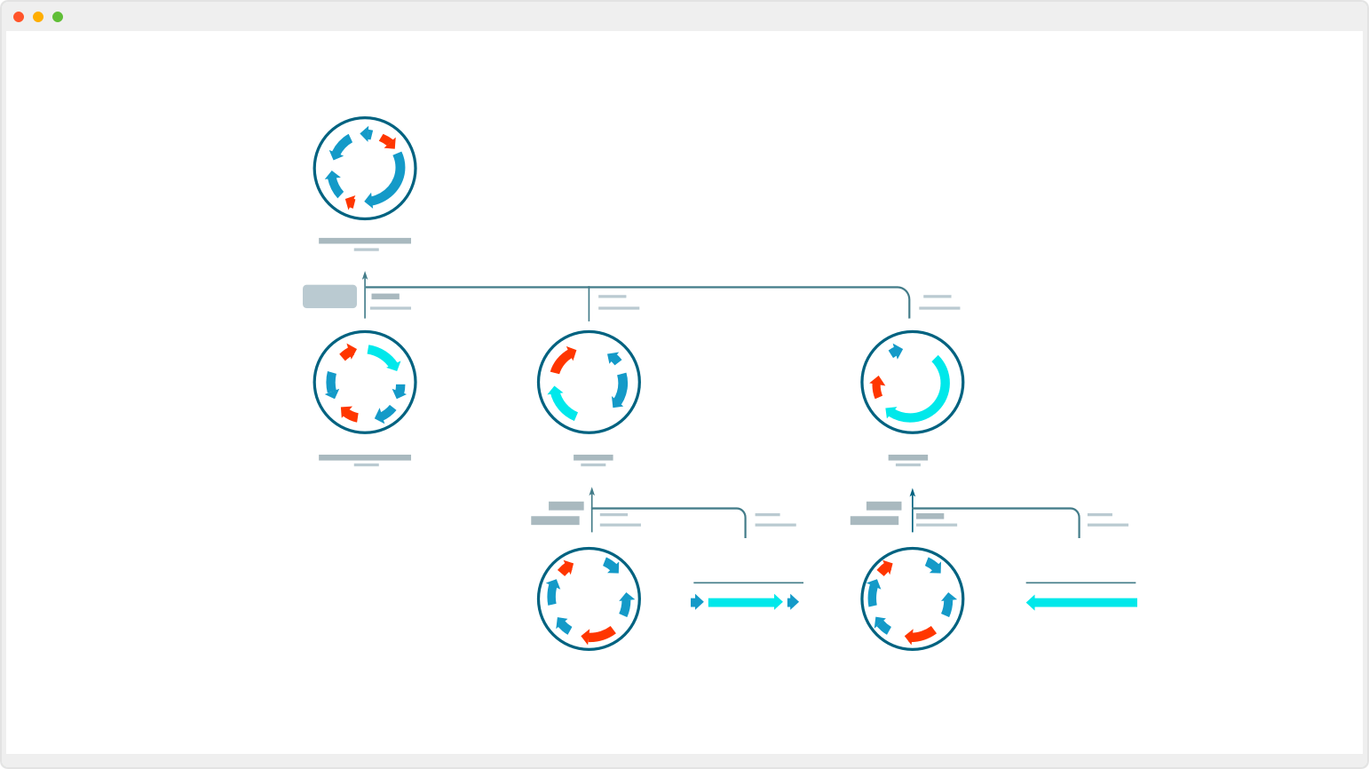 SnapGene