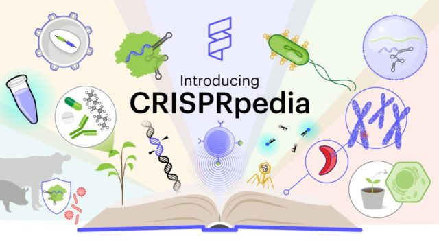 CRISPRpedia is a free, textbook-style resource that explains and illustrates all things CRISPR