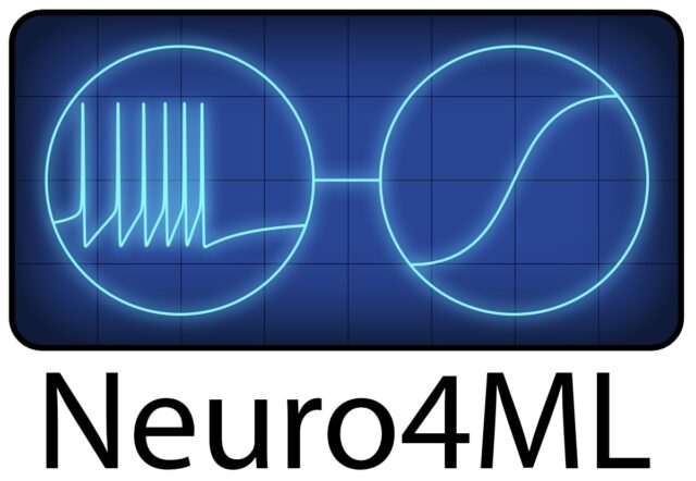 A freely available short course on neuroscience for people with a machine learning background. Designed by Dan Goodman and Marcus Ghosh.