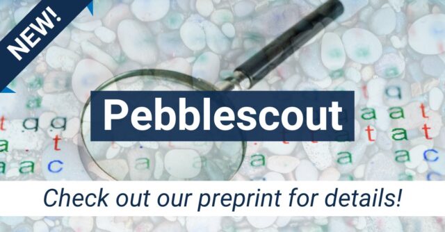 Pebblescout_Research_Stash