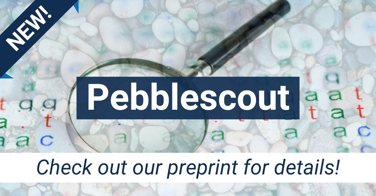 Pebblescout_Research_Stash